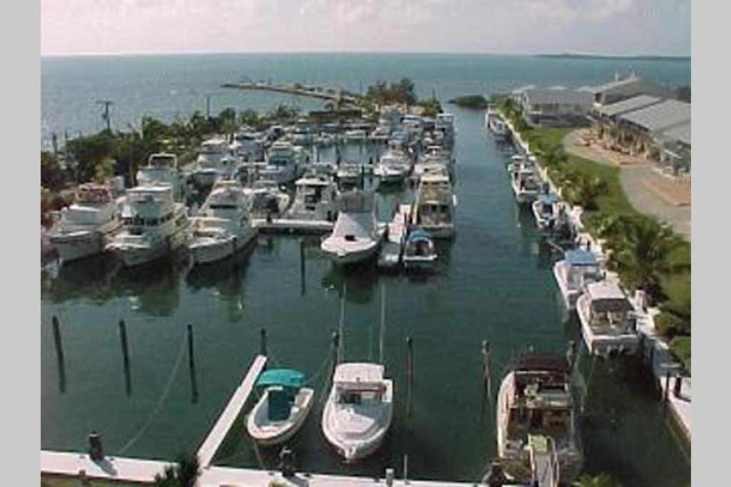 Licensed Mgr - 2/2 Villa - Oceanfront Beach Resort - Saltwater Lagoon & Marina! Key Largo Eksteriør billede